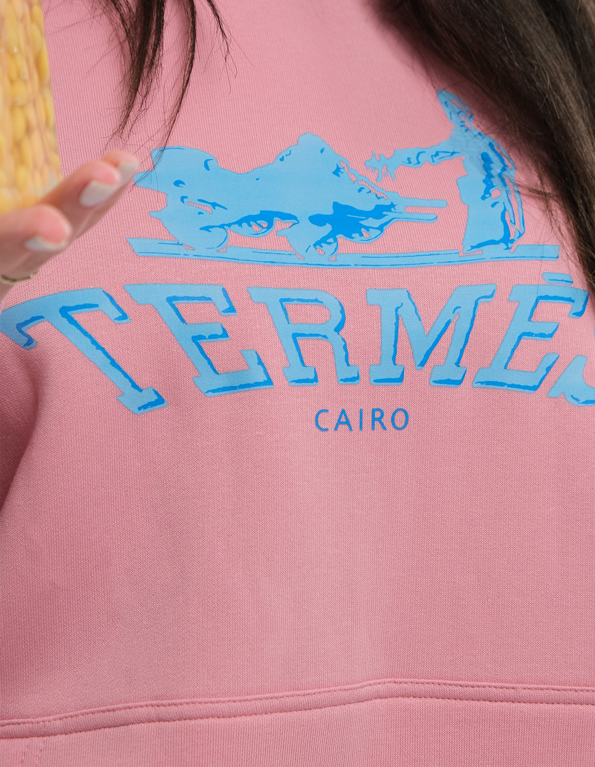 Pink Termes Hoodie